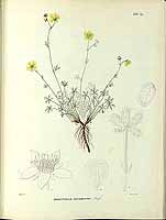  no thumbnail available