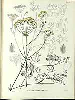  no thumbnail available