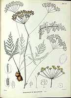  no thumbnail available