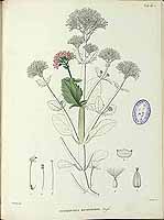  no thumbnail available