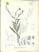  no thumbnail available