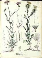  no thumbnail available