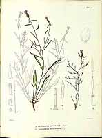  no thumbnail available