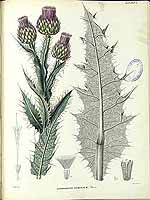  no thumbnail available