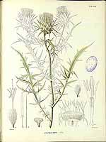  no thumbnail available