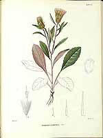  no thumbnail available