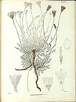  no thumbnail available