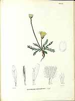  no thumbnail available