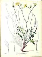  no thumbnail available