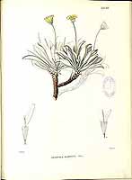  no thumbnail available