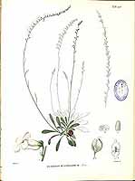  no thumbnail available