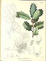  no thumbnail available