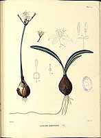  no thumbnail available