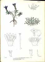  no thumbnail available