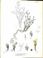  no thumbnail available