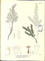  no thumbnail available