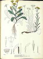  no thumbnail available