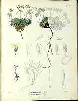  no thumbnail available