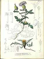  no thumbnail available