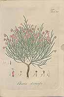  no thumbnail available