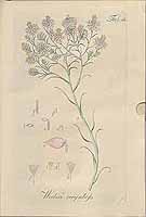  no thumbnail available