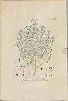  no thumbnail available