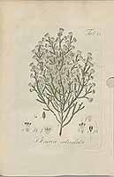  no thumbnail available