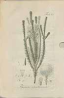  no thumbnail available