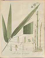  no thumbnail available