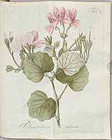  no thumbnail available