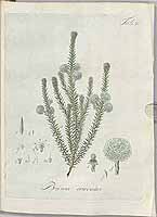  no thumbnail available