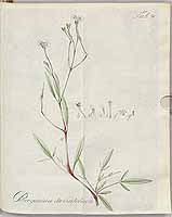  no thumbnail available