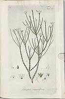  no thumbnail available