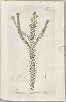  no thumbnail available