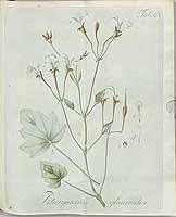  no thumbnail available