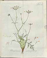  no thumbnail available