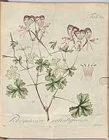  no thumbnail available