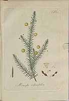  no thumbnail available