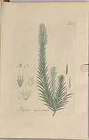  no thumbnail available