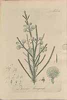  no thumbnail available