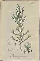  no thumbnail available