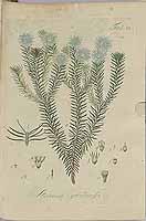  no thumbnail available