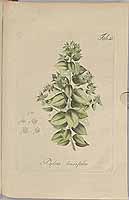  no thumbnail available