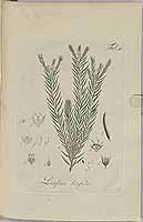  no thumbnail available