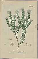  no thumbnail available