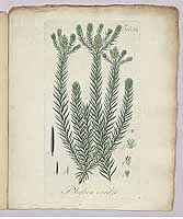  no thumbnail available