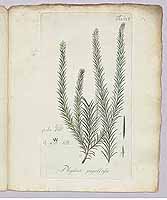  no thumbnail available