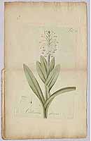  no thumbnail available