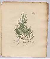  no thumbnail available