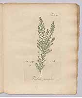  no thumbnail available